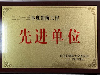 2013年度消防工作先进单位