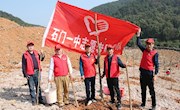 石门一中：党员“志愿红”映红“先锋林”